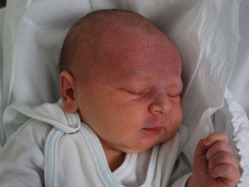 Jaromírek Holotík, Býškovice, narozen dne 21. listopadu 2012 v Přerově, míra: 54 cm, váha: 4 630 g 