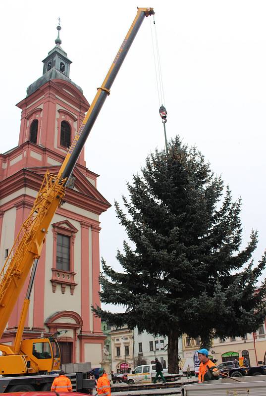 Na hranické náměstí v pátek 24. listopadu dopoledne dorazil vánoční strom.