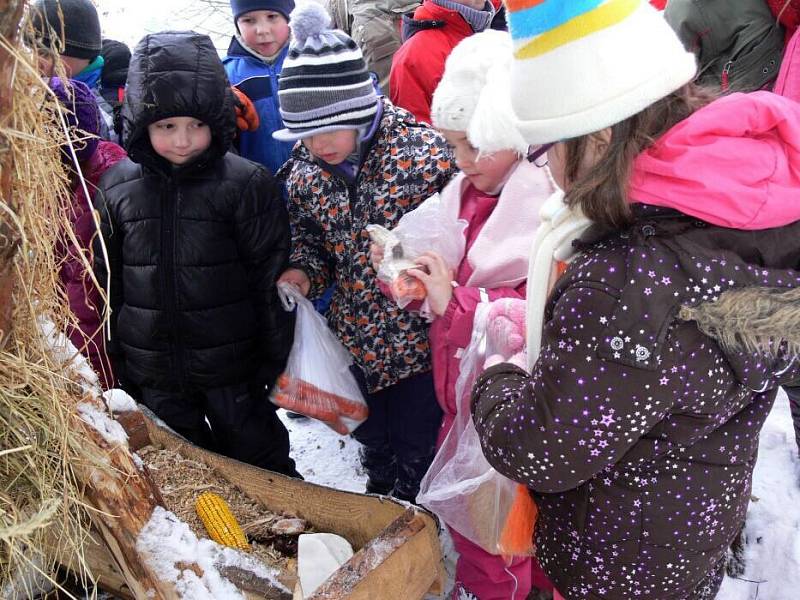 Děti z mateřinky na Struhlovsku v Hranicích krmily lesní zvěř