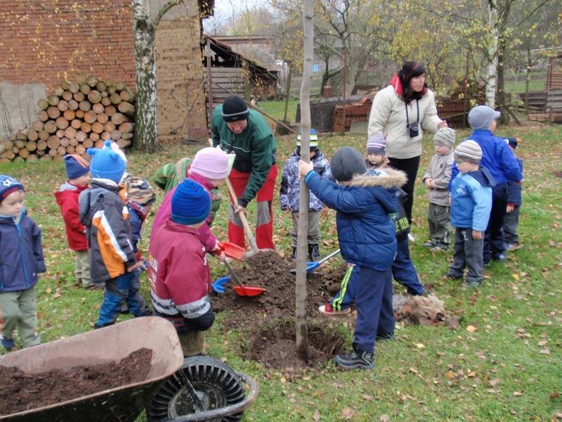 Dobrovolníci napříč všemi generacemi sázejí v Jezernici každý rok stromy. Letos jich vysadili kolem padesáti. Zapojily se i děti ze školy a školky.