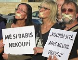 Protest proti premiérovi v demisi Andreji Babišovi. Ilustrační foto