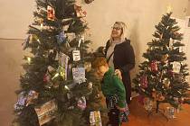 Vánoční atmosféru vykouzlila výstava na zámku ve Všechovicích.