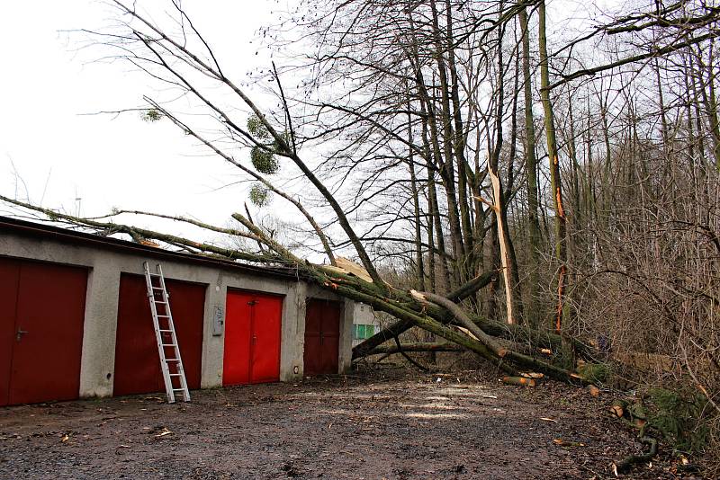 Hasiči odstraňovali v pondělí  10. února po poledni stromy, které silný vítr vyvrátil na garáž na Nové ulici v Hranicích.