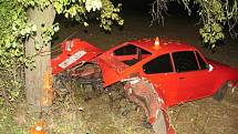 Lehké zranění utrpěl při nehodě mezi Oldřichovem a Sušicemi čtyřiadvacetiletý řidič osobního vozu Škoda 110. Nehoda se stala ve středu 28. října odpoledne.