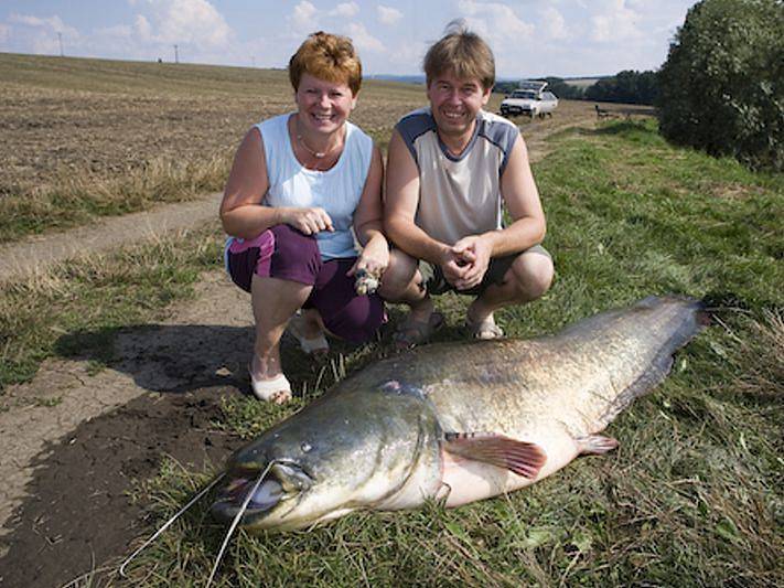 Kapitální úlovek vytažený z pískovny v Hluku.