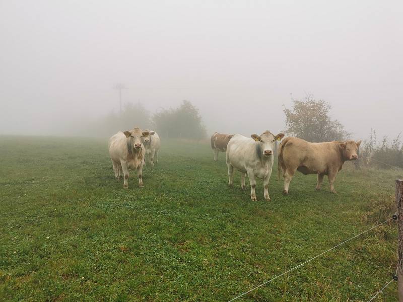 Ten vpravo se nesměje