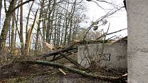 Hasiči odstraňovali v pondělí  10. února po poledni stromy, které silný vítr vyvrátil na garáž na Nové ulici v Hranicích.