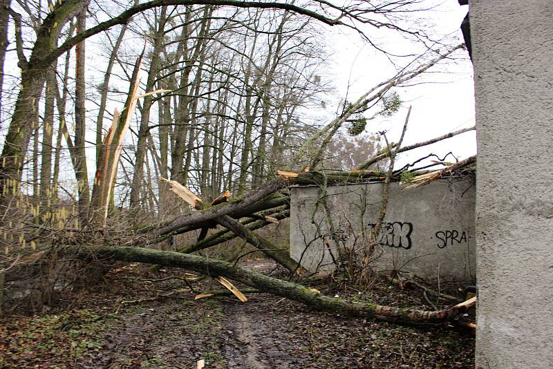 Hasiči odstraňovali v pondělí  10. února po poledni stromy, které silný vítr vyvrátil na garáž na Nové ulici v Hranicích.