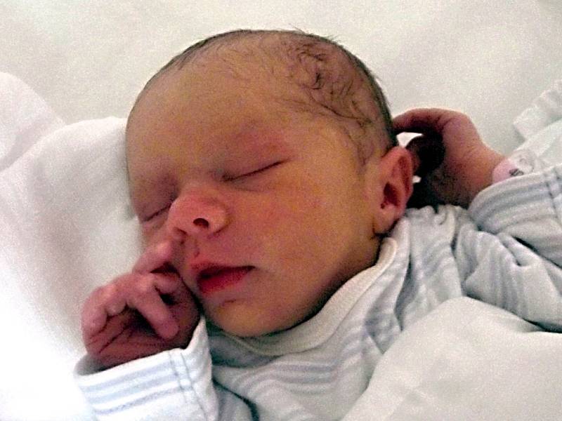 Veronika Varájová, Přerov, narozena dne 8. září 2013 v Přerově, míra: 46 cm, váha: 2505 g 