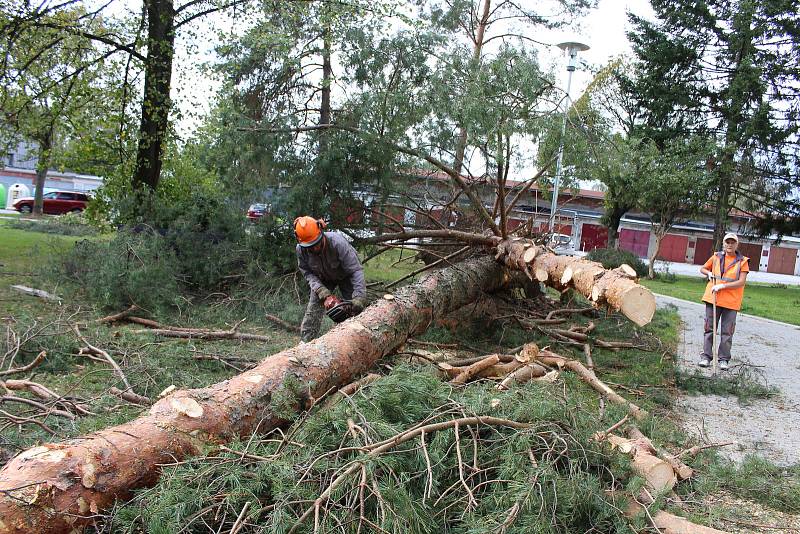 Vichřice napáchala škody na třídě 1. máje, kde spadl nedaleko obchodu Hruška vrostlý smrk. Na sídlišti Struhlovsko to odneslo hned stromů několik. Před domem číslo 1410 a 1411 nevydržely nárazy silného větru hned tři vzrostlé borovice a na dům s číslem 14