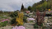 Makču Pikču, tento půvabný a exoticky znějící název nese zajímavé arboretum v obci Paseka na úpatí Nízkého Jeseníku.