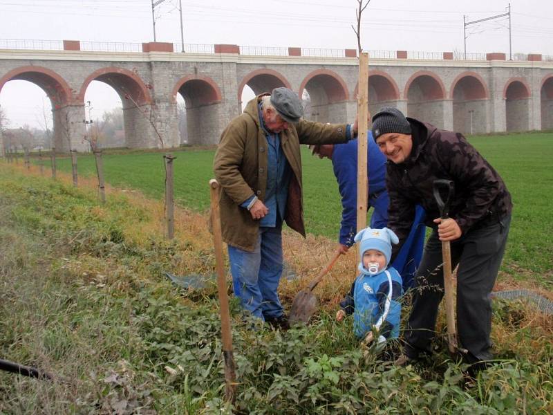 Dobrovolníci napříč všemi generacemi sázejí v Jezernici každý rok stromy. Letos jich vysadili kolem padesáti. Zapojily se i děti ze školy a školky.