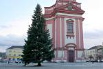 Vánoční strom na hranickém náměstí stojí i v polovině února