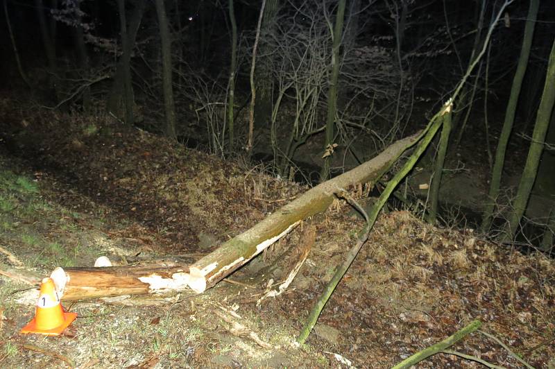 Řidič narazil v neděli 10. března u Hustopeč nad Bečvou do spadlého stromu.