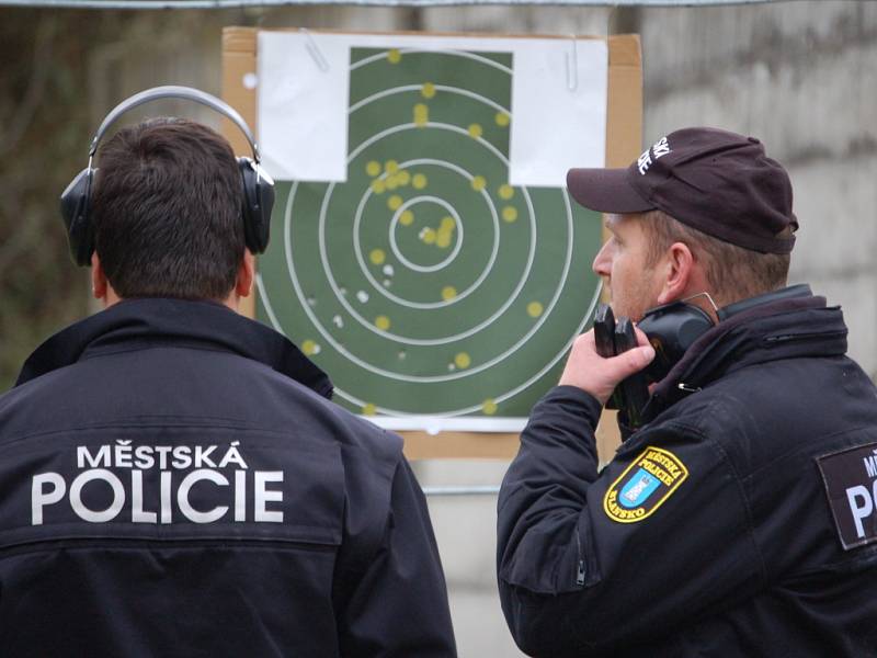 Celkem jedenadevadesát střelců se utkalo ve střelecké soutěži v Radslavicích.