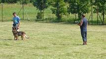 Desítky psů během soboty v Hranicích soutěžily o pohár starosty města.
