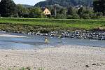 Odstraňování následků masivního úhynu ryb v řece Bečvě v Hranicích, pondělí 21. září 2020
