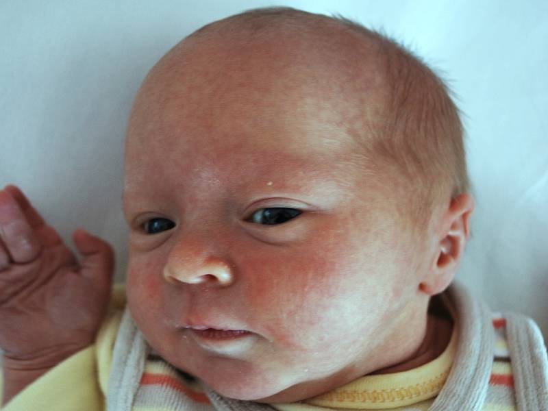 Monička Miklíková, Bystřice pod Hostýnem, narozena 21. května 2012 v Přerově, míra 47 cm, váha 3 110 g 