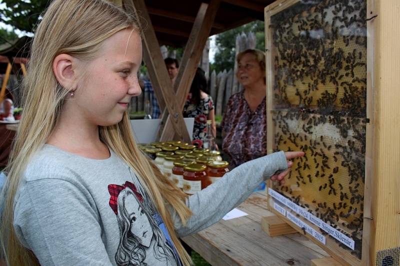 Ve skanzenu v Modré si přišli na své milovníci včelích produktů. Nechybělo ani stloukání másla a vernisáž obrazů. 