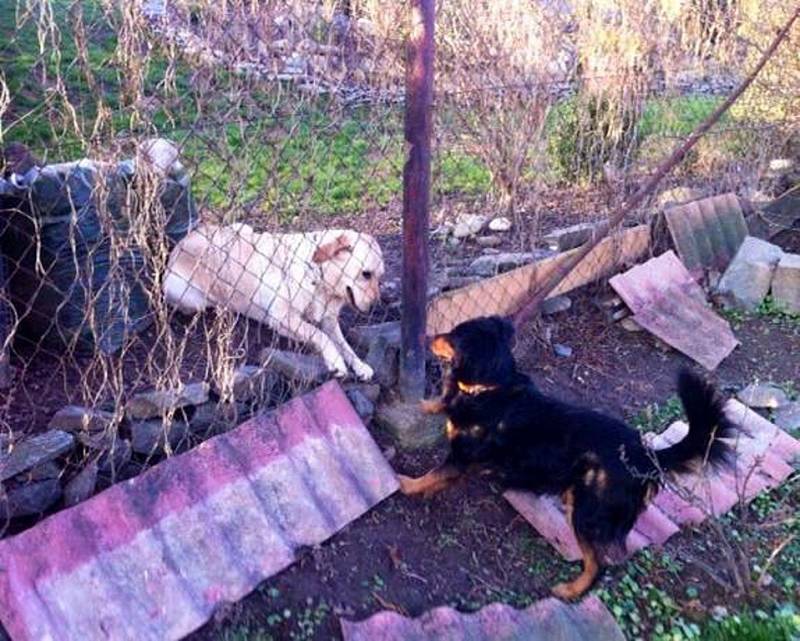 ŽERYK.  Počkej, až se k tobě dostanu! Foto: Viktorie Voráčová