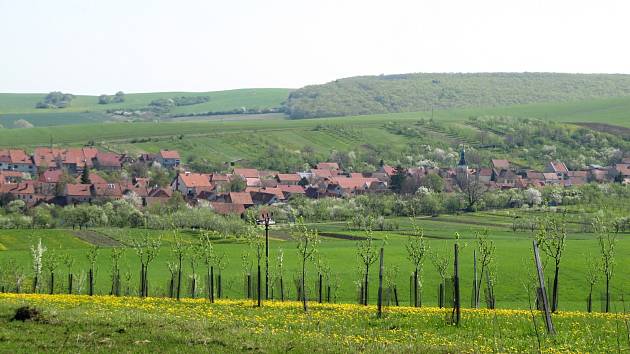 Boršice u Blatnice