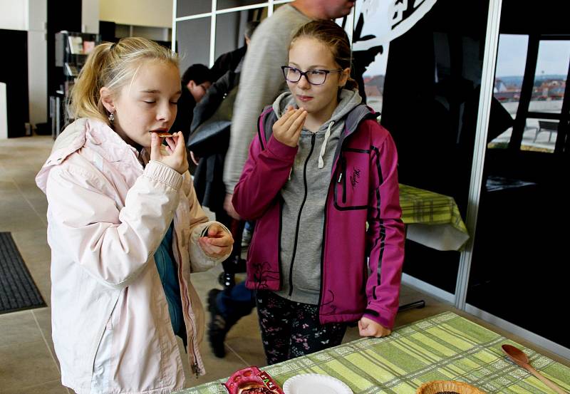 Památník Velké Moravy ve Starém Městě byl v neděli místem setkání Zvídálka s dětmi i dospělými.