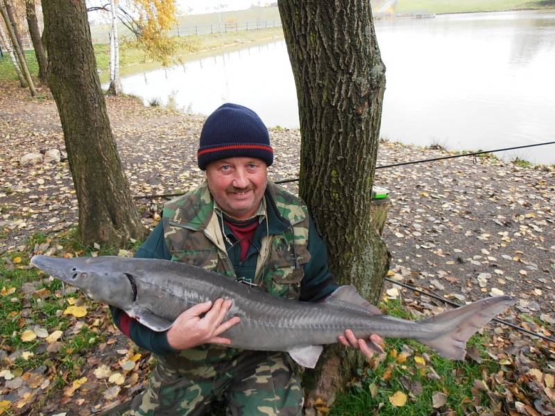 Soutěžní číslo 97: Jan Šrámek, jeseter, 125 cm a nevážen.