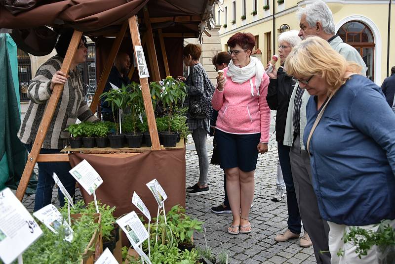 Svatojánský jarmark se konal na pozadí národní přehlídky dětského verbuňku.