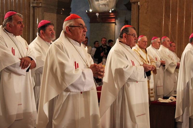 V bazilice Nanebevzetí Panny Marie a svatých Cyrila a Metoděje sloužil mši svatou arcibiskup olomoucký Jan Graubner, kazatelem byl kardinál Dominik Duka.