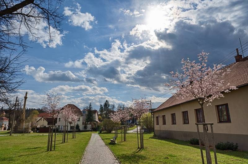 Jaro v přírodní rezervaci Kanada a na Velehradě.