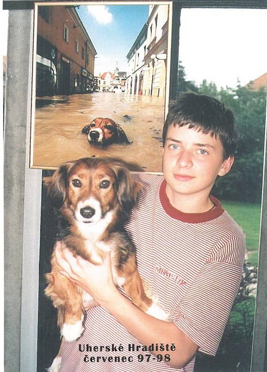 Povodeň v červenci 1997 v Uherském Hradišti. Slavný pes, který plaval v Prostřední ulici.