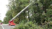 Vyvrácený strom zablokoval ve čtvrtek 7. září krátce před polednem dopravu ve Starém Městě na ulici Velehradská.