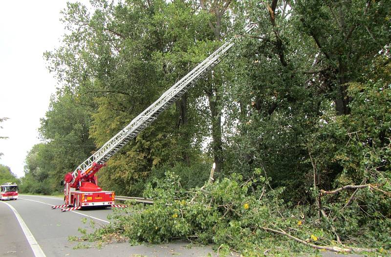 Vyvrácený strom zablokoval ve čtvrtek 7. září krátce před polednem dopravu ve Starém Městě na ulici Velehradská.