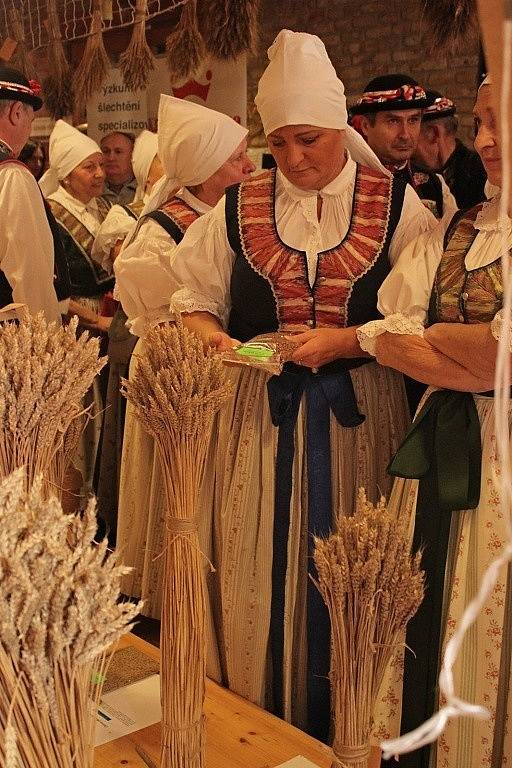 Muzeum Podhradí v Buchlovicích otevřelo výstavu Ukrojte si nás. Je zaměřená na chleba.