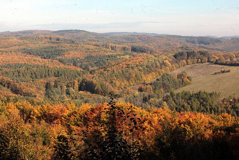 Přírodní rezervace Holý kopec na podzim.