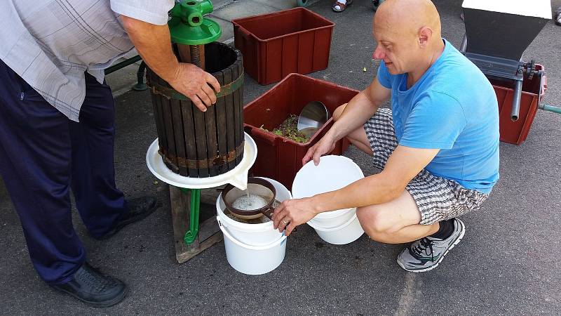 Na Velehradě uspořádali první ročník Skleníkového vinobraní.