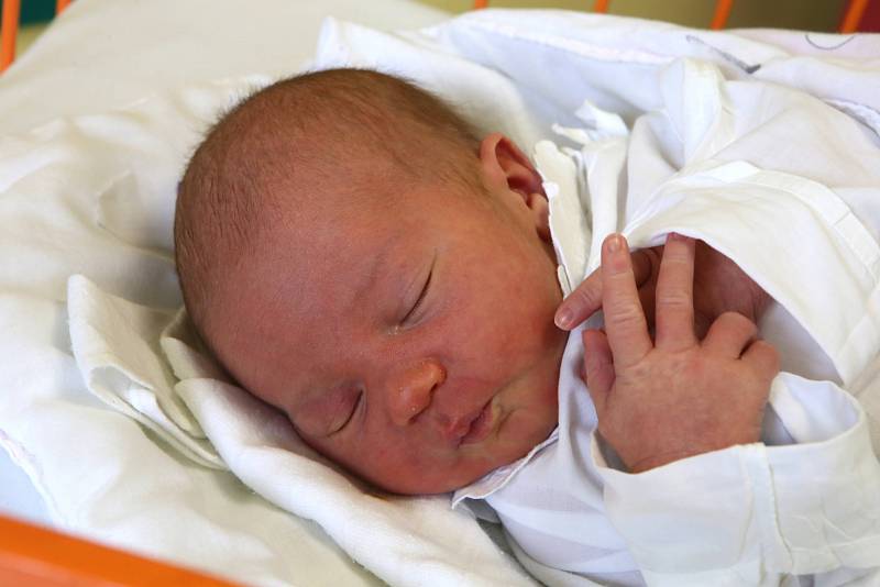 MARTIN SEDLAČÍK, 7.5.2019, 3660 g, 50 cm, Vyškovec