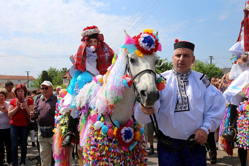 Jízda králů ve Vlčnově 2019