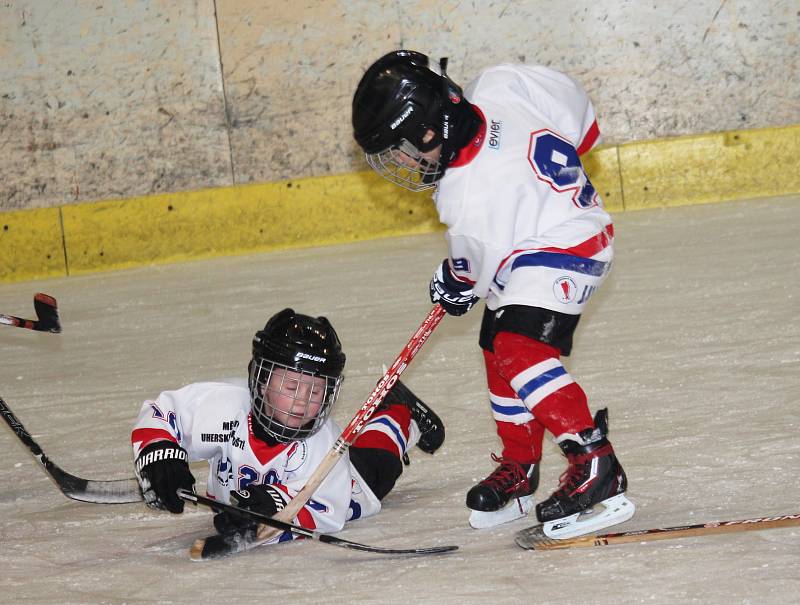 Velká radost ze hry byla vidět na všech malých hokejistech, kteří se v sobotu 18. listopadu zúčastnili v Uherském Hradišti turnaje 2. tříd. Domácím Hradišťanům se dařilo, s Brumovem a Uherským Ostrohem vyhráli všechny čtyři zápasy. (ms)