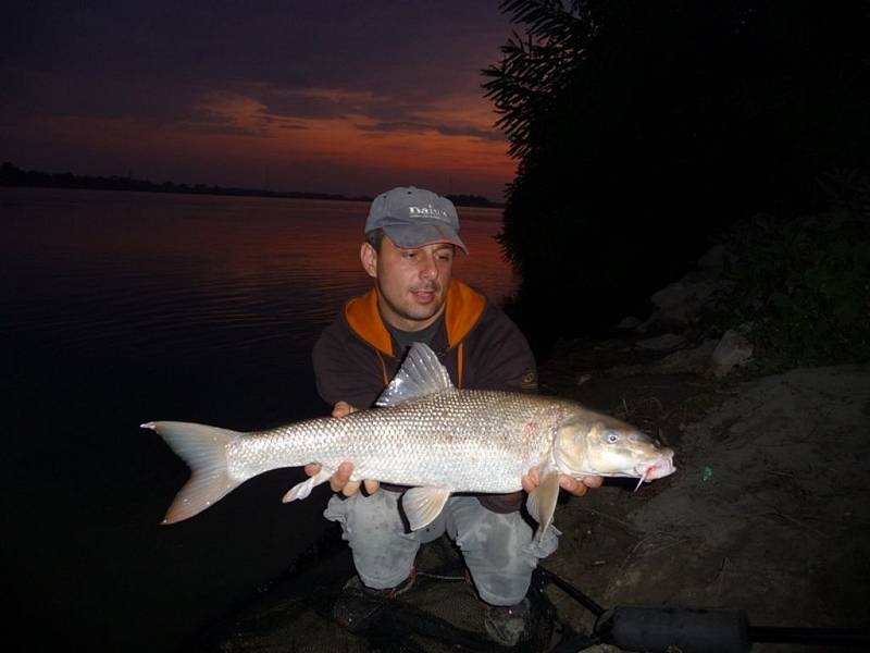 Soutěžní číslo 95. Jiří Konečný, parma, 76 cm a nevážena.