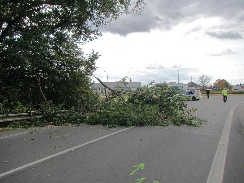 Vyvrácený strom zablokoval ve čtvrtek 7. září krátce před polednem dopravu ve Starém Městě na ulici Velehradská.