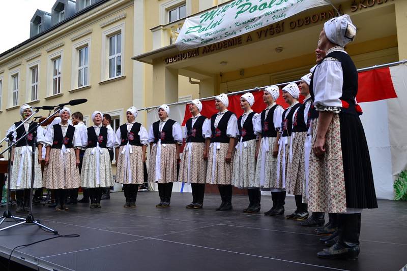 Krojovaný průvod obcí odstartoval ve Vinohradské ulici a cíl měl na Masarykově náměstí v Uherském Hradišti.