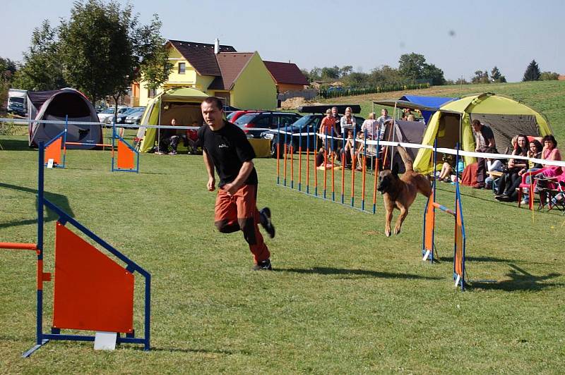 5. ročník závodu v agility Zlechovské hopsání.