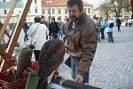 Svátek Země v Uherském Hradišti nabídl ekojarmark, ale také expozici dravých ptáků a možnost prohlédnout si oblohu hvězdářským dalekohledem