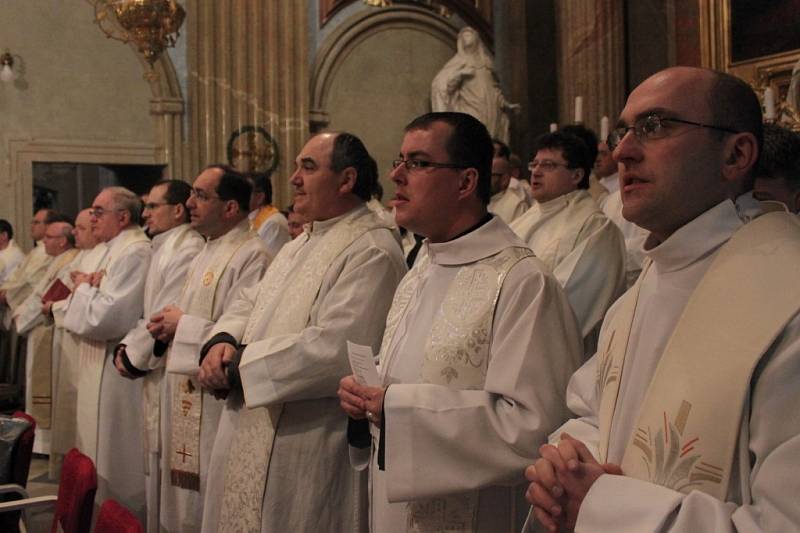 V bazilice Nanebevzetí Panny Marie a svatých Cyrila a Metoděje sloužil mši svatou arcibiskup olomoucký Jan Graubner, kazatelem byl kardinál Dominik Duka.