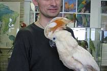 V Muzeu J. A. Komenského je k vidění zajímavá výstava papoušků.