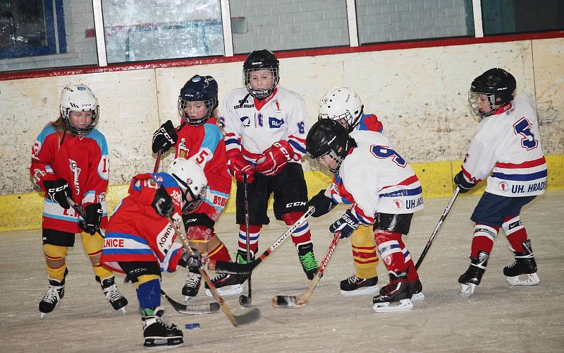 Velká radost ze hry byla vidět na všech malých hokejistech, kteří se v sobotu 18. listopadu zúčastnili v Uherském Hradišti turnaje 2. tříd. Domácím Hradišťanům se dařilo, s Brumovem a Uherským Ostrohem vyhráli všechny čtyři zápasy. (ms)