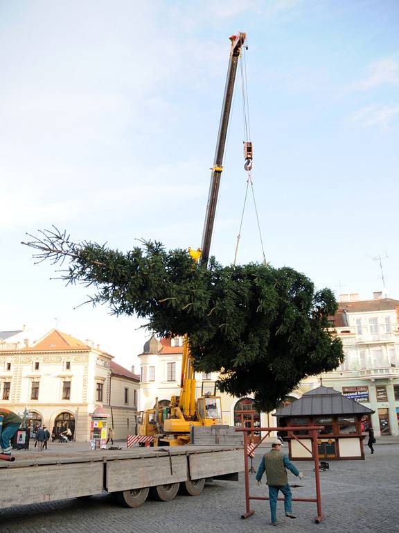 V Uherském Hradišti v pondělí 1. prosince postavili vánoční strom.