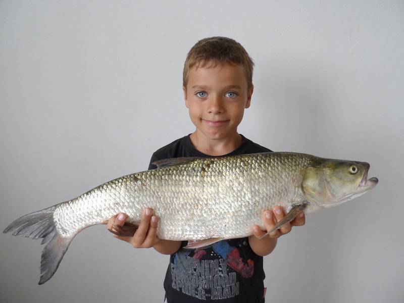 Soutěžní číslo 1 - Petr Bár, bolen, 72 cm, nevážen.