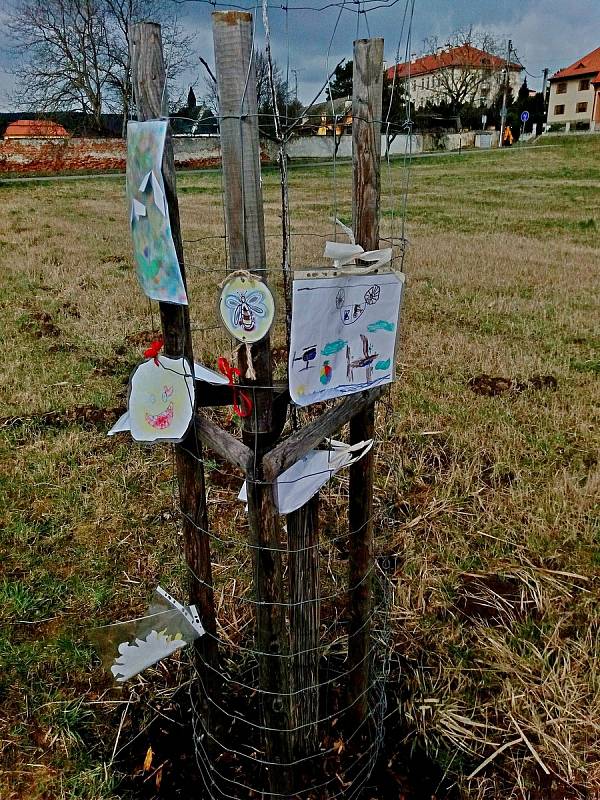 Děti z velehradské mateřinky jablůňky v roce 2019 sadily a nyní je kresbičkami ozdobily.